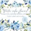 Blue Flowers watercolor 49png